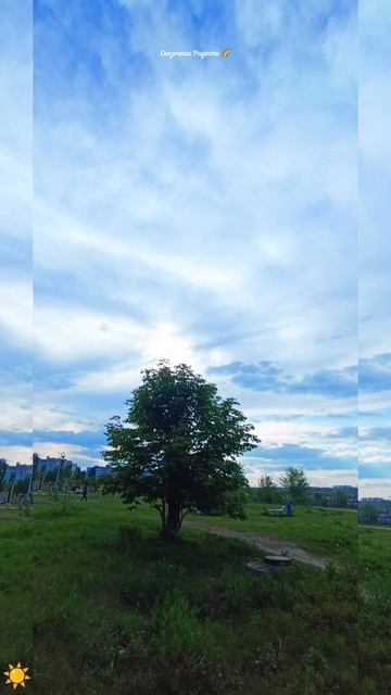 #один #красивыйдень #любимый #солнечный #саратов #17мая2025год #событиедня #обзор #природавпечатляет смотреть онлайн