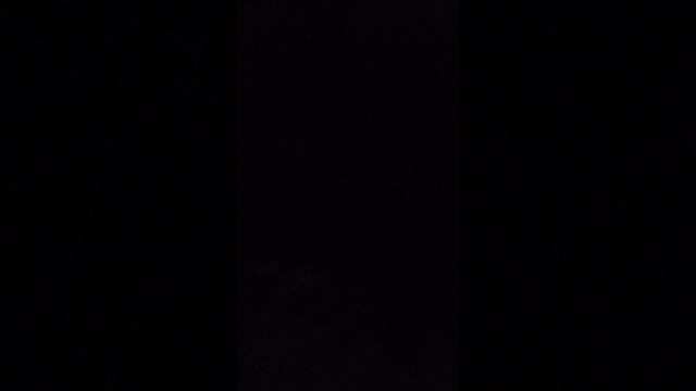 аудиосказка про собаку смотреть онлайн