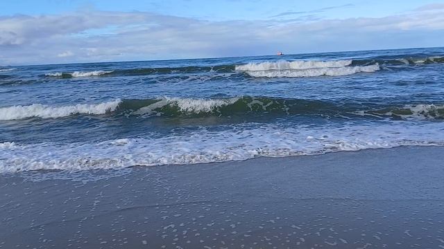 14-10-2025 г калининграда город зеленоградск местный пляж и балтийское море ЧАСТЬ-13 смотреть онлайн