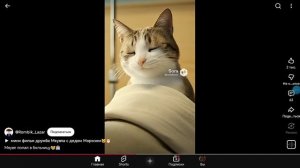 Мяувл попал в больницу 😿🏥