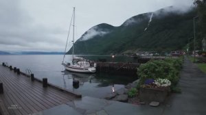 🇳🇴 Вик, Согн-ог-Фьюран, Норвегия - туманное утро, водопад, птицы и атмосфера природы / 2025