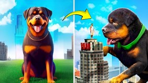 ПРЕВРАТИЛ ЧОПА В ГИГАНТСКОГО ПСА ОБЗОР МОДА в GTA 5 ONLINE