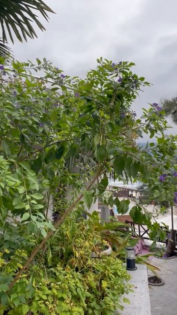 Ялта 💖💖💖 смотреть онлайн