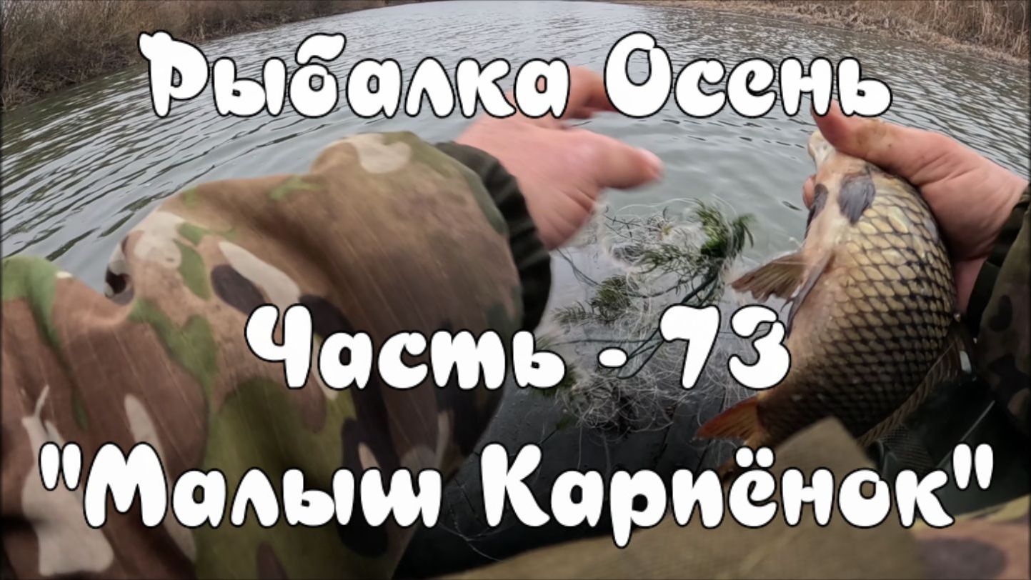 Рыбалка Осень. Часть - 73. "Малыш карпенок". смотреть онлайн