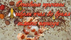 Неожиданные сюрпризы во время зимовки.