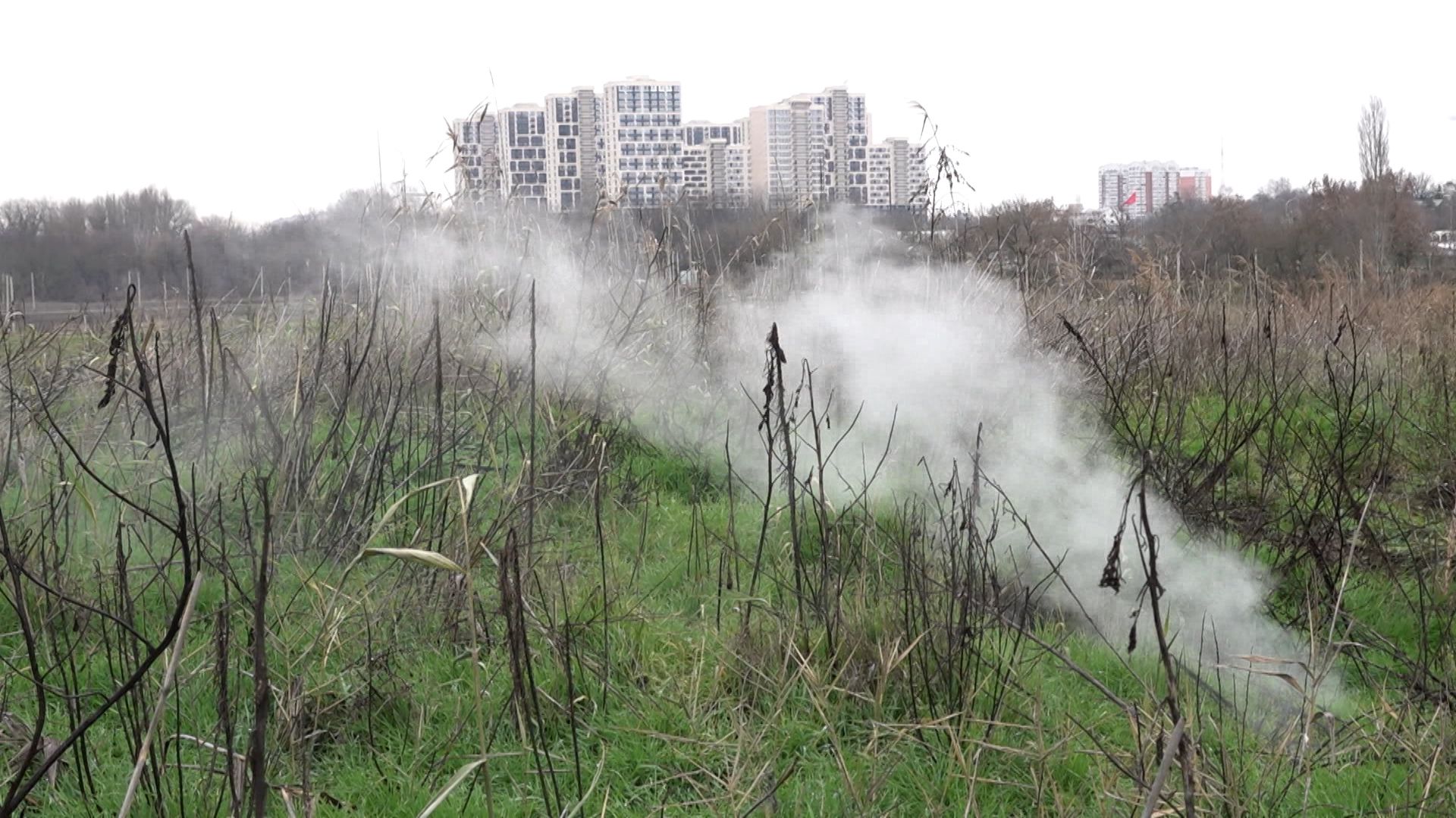 ФАКТЫ. Выпуск от 24.12.25