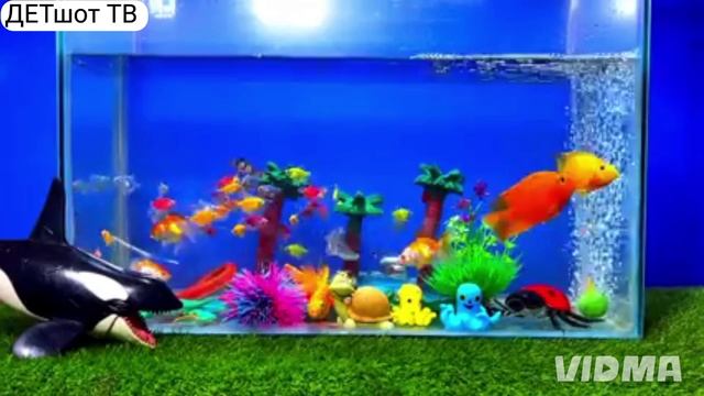 Маленькие рыбки смотреть онлайн