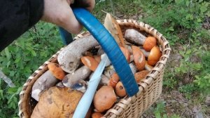 Пришлось доставать вторую корзинку