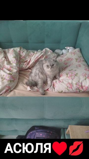 АСЮЛЯ смотреть онлайн