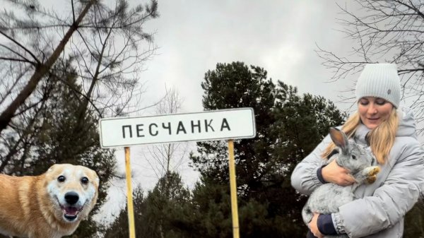 ДЕРЕВЕНЬКА МОЯ/ПУТЕШЕСТВИЕ ПО ЛЕСУ ВСЕЙ СЕМЬЕЙ/ГОТОВИМ СОЧНИКИ/МАМИН РУЛЕТ