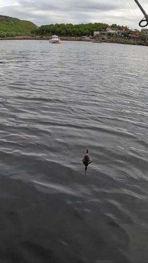 КАМБАЛА-ЁРЩ НА ЗАЛИВЕ