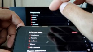 Стример Eversolo DMP-A6. Часть 2.