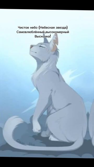 как кажутся коты воители/ и какие они на самом деле/