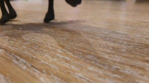 заставка к сериалу "маршрут"