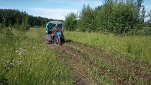 24. Покатушки на трицикле. Заготовка березовых веников.
