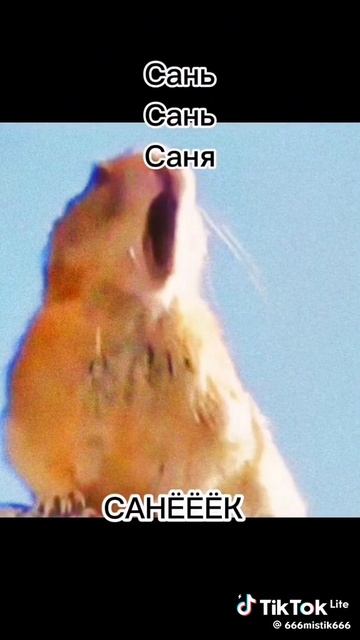 это просто ржака😂