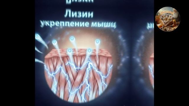 АМАРАНТ секрет молодости и долголетия