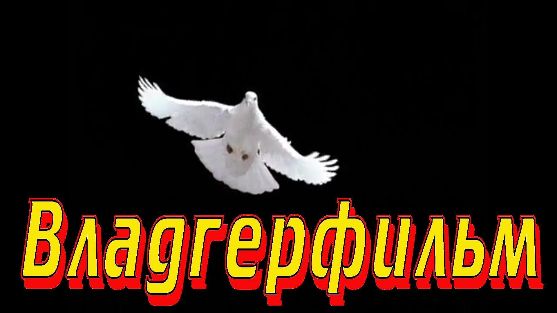 Утро ноября смотреть онлайн