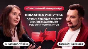Команда изнутри: почему общение буксует и какие существуют решения конфликтов | Счастливый ветеринар