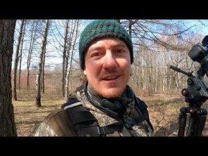 Для кого семечки? Дневник натуралиста. 8 апреля 2023 г.