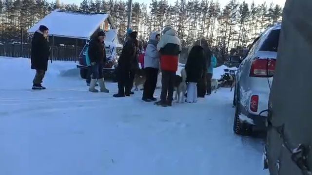 Отдых с собаками. Кинолог Игорь Алтайский.