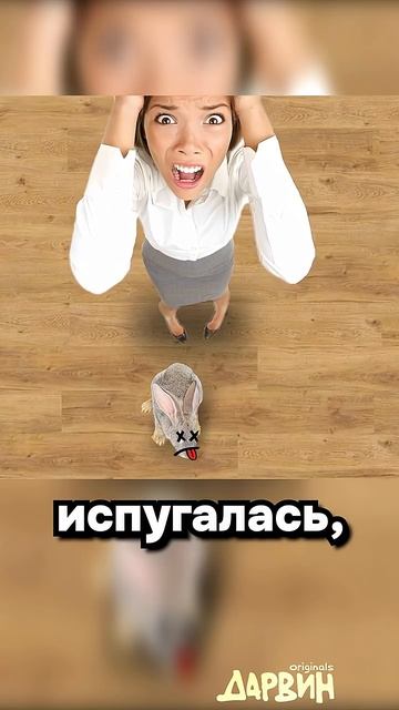 Умножение кроликов смотреть онлайн