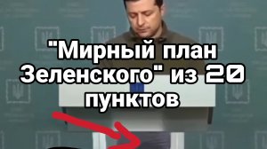 «Мирный план» Зеленского из 20 пунктов
