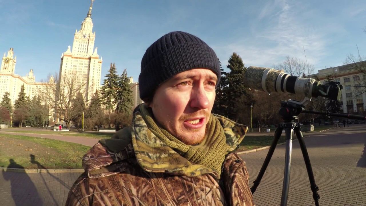 Canon EOS 90D – первое впечатление. Видео 4K, фотоохота смотреть онлайн