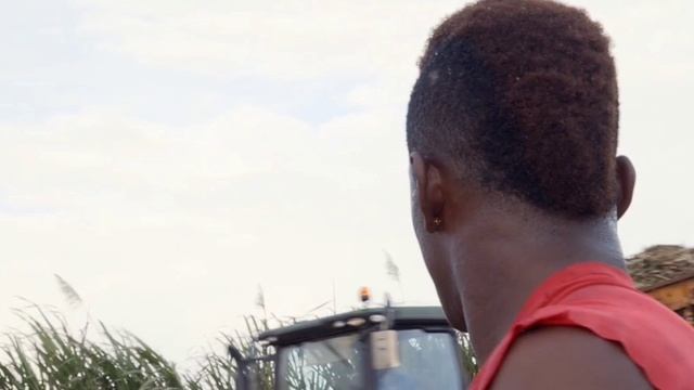 охота на кроликов.mp4 смотреть онлайн