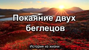 Покаяние беглецов 🙏 Проповедь МСЦ ЕХБ