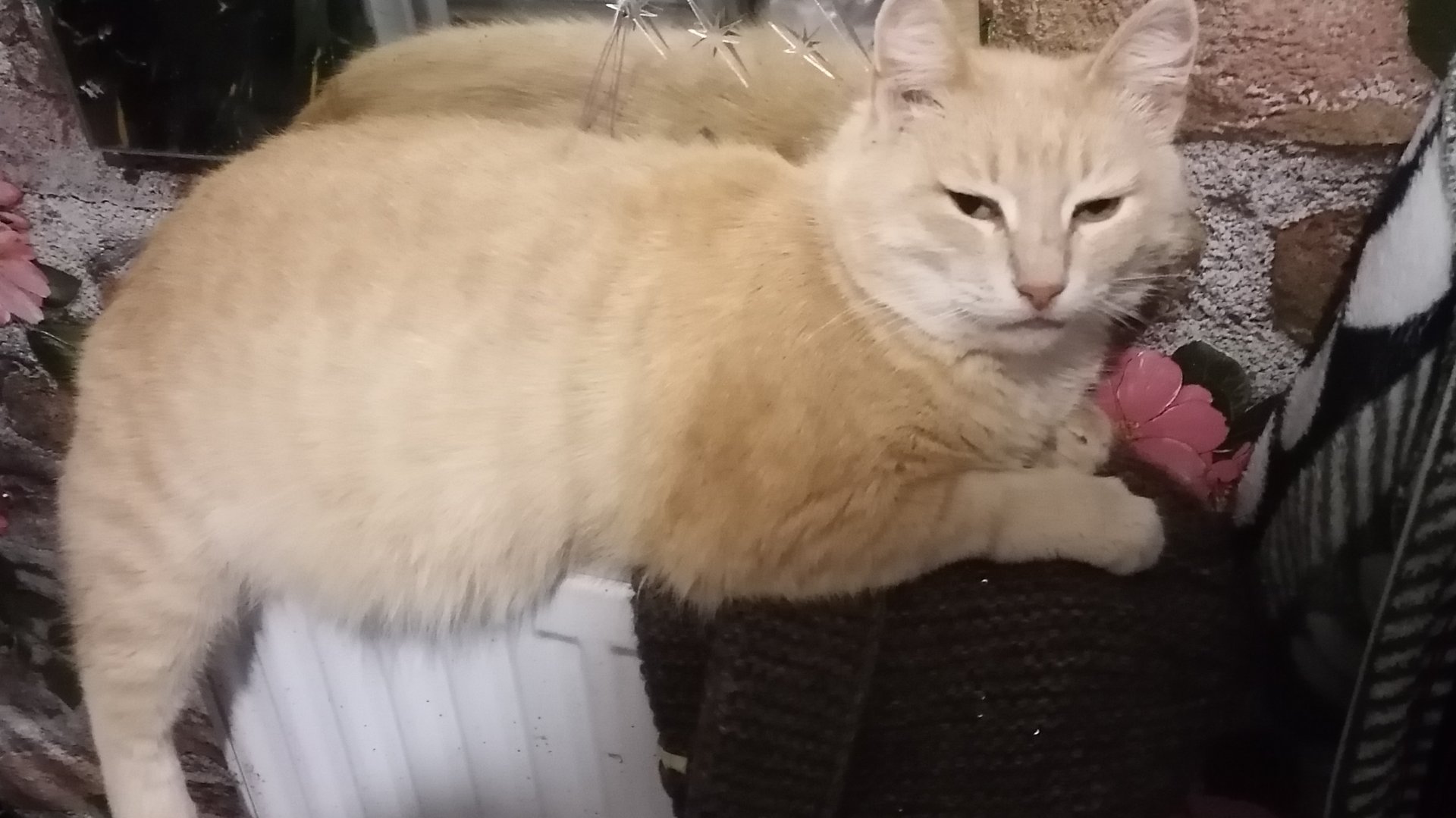 Выгрузка щебня из полувагонов смотреть онлайн