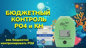 Импортозамещение в моём морском аквариуме: как экономлю на тестах Hanna. Результат шокирует!
