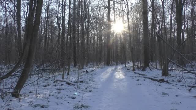 Мороз и солнце - день чудесный!