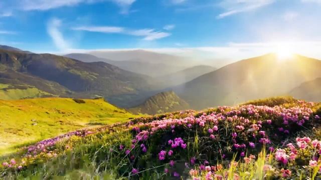 Архимандрит Лазарь(Абашидзе).Как можем мы обманываться в себе думая что имеем любовь к ближнему. смотреть онлайн