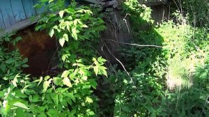 ТУТ ЕСТЬ НА ЧТО ПОСМОТРЕТЬ! Интересные находки в брошенных домах. Заброшенная деревня среди полей.