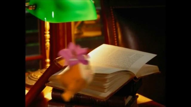 Кружок Информашка 2015 смотреть онлайн