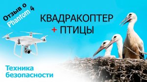Квадракоптер Phantom 4 - отзыв новичка