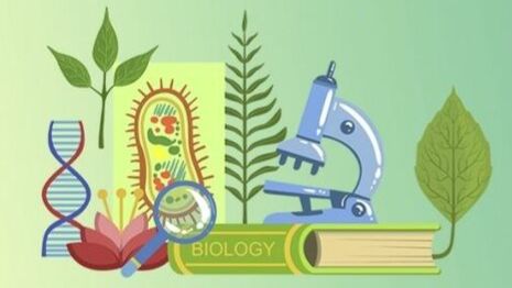 Биология 11 класс. Изменчивость организмов. смотреть онлайн