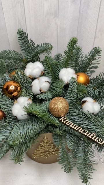 Новогодняя композиция из нобилиса в шляпной коробке смотреть онлайн