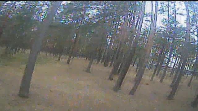 Acro-блинчик между сосен