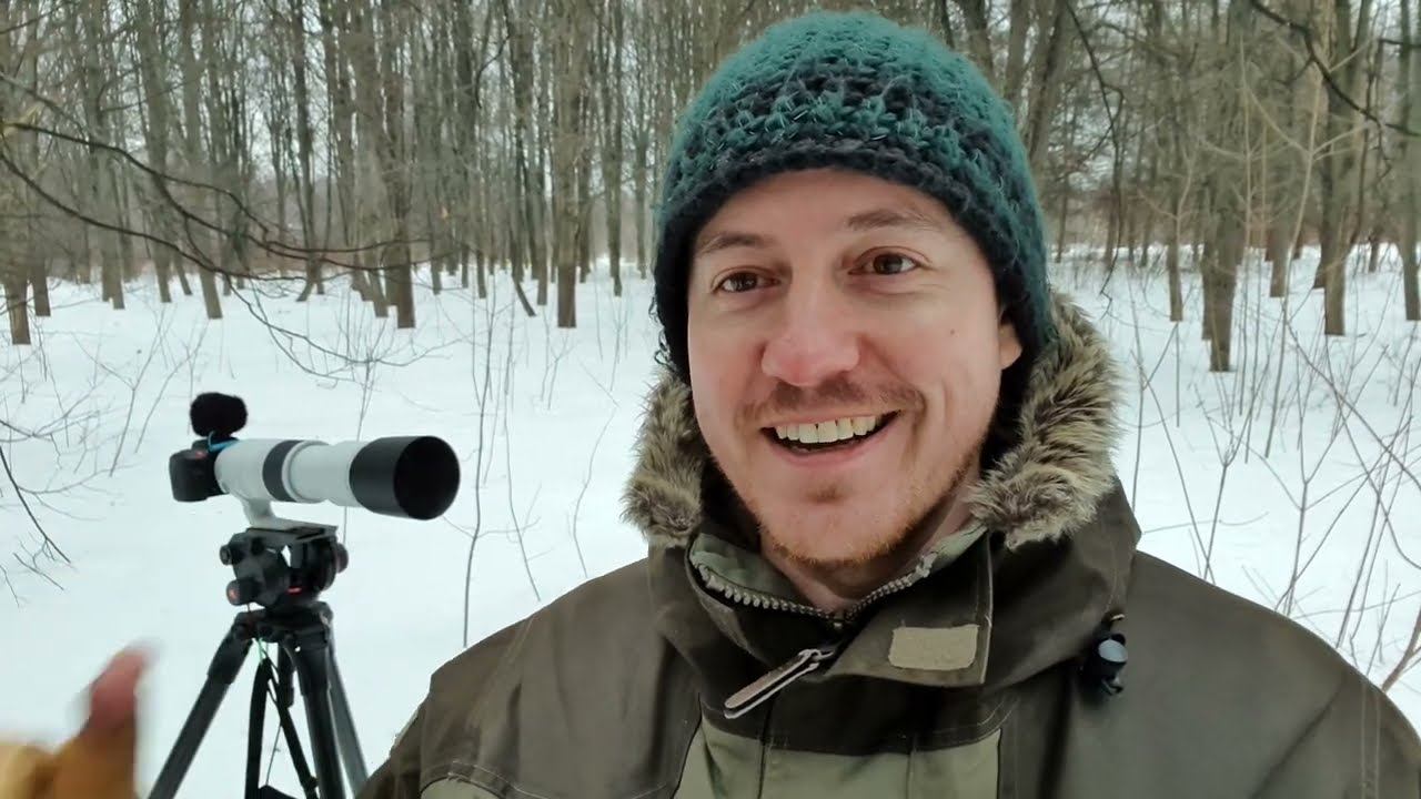 Белка против Ворон. Дневник натуралиста 15 марта 2024 г. смотреть онлайн