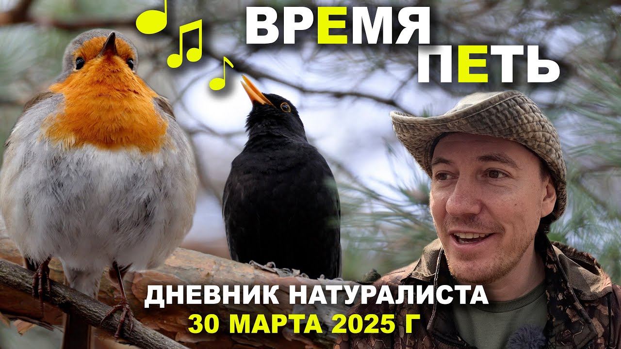 Бирюлёвский лесопарк. Дневник натуралиста 30.03.2025 смотреть онлайн