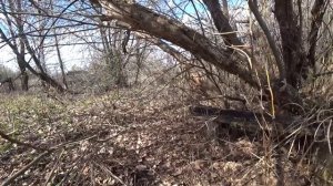 Деревня_рядом_с_городом_но_здесь_никто_не_живёт_Заброшенная_