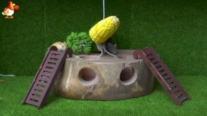 Видео для кошек про крысок развлекать питомцев 🐭🐀😂 (412)