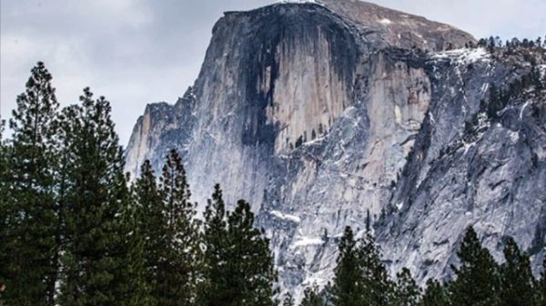 Идеальный парк !