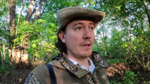 Что стало с гнездом зарянки?