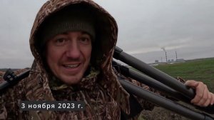 Гирлянда для Свиристелей. Дневник натуралиста, 6 ноября 2023 г.