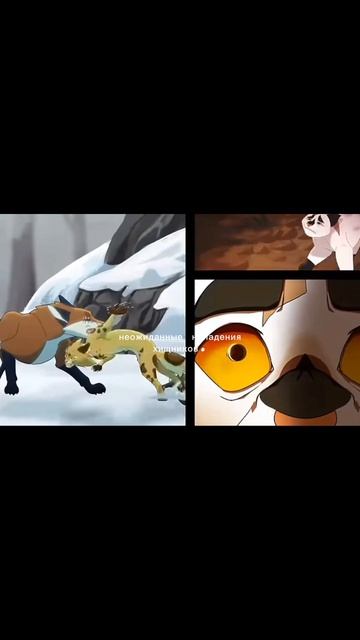 коты воители/правда/чит описание/