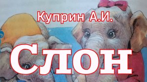 Рассказ «Слон» Куприн А.И. (1907г.)