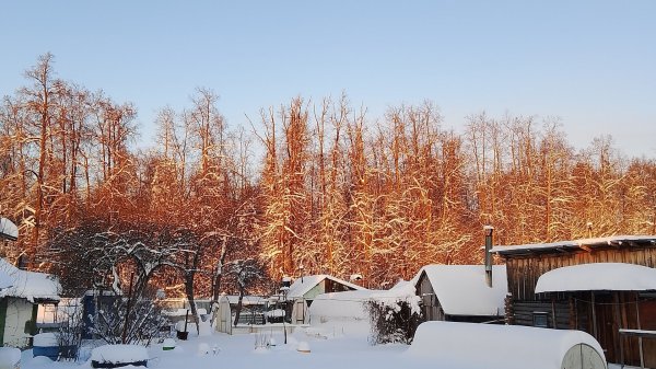 Дачный стрим 24.12.25